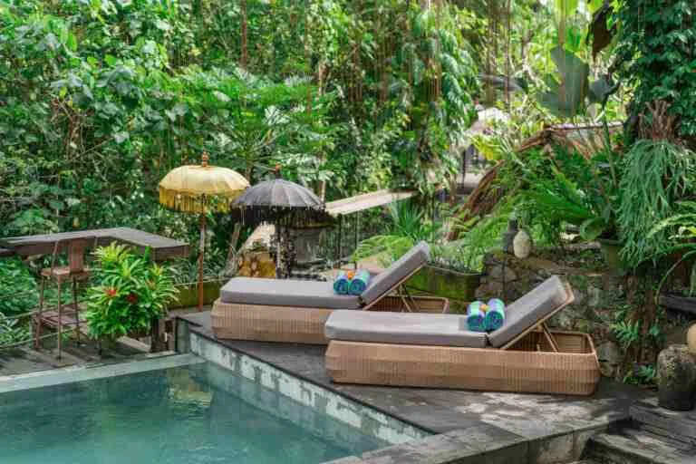 Tropical Kasbah - Immersive Jungle with Pool