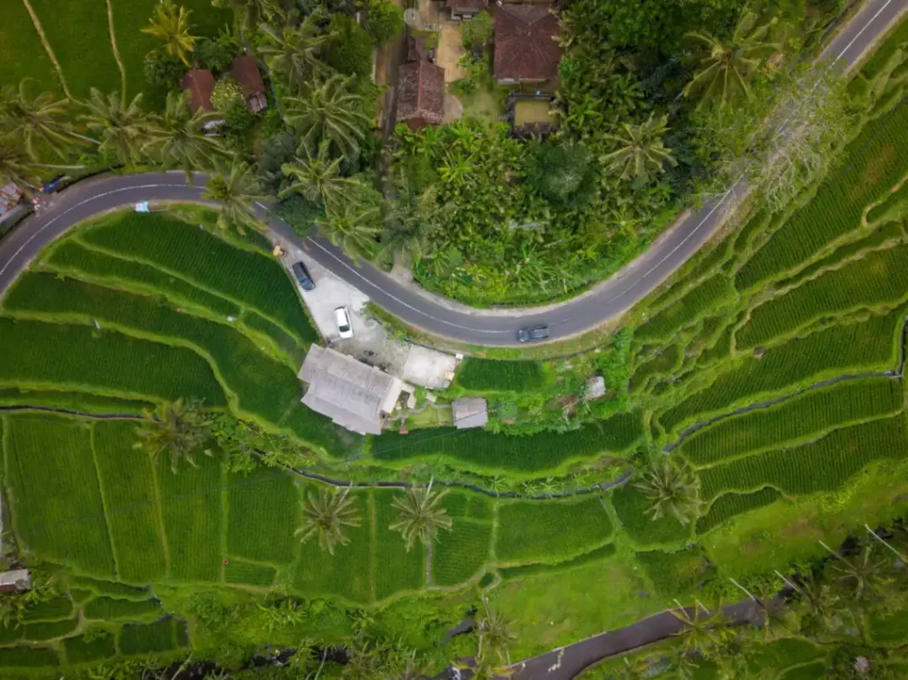 ubud walking itinerary